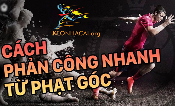 Nằm lòng cách xem kèo nhà cái cá cược: nhìn là thắng