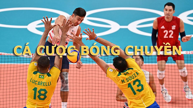 cá cược bóng chuyền