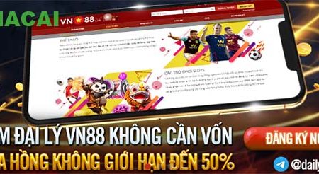 Hướng dẫn cách phân biệt tài khoản thành viên và đại lý Vn88